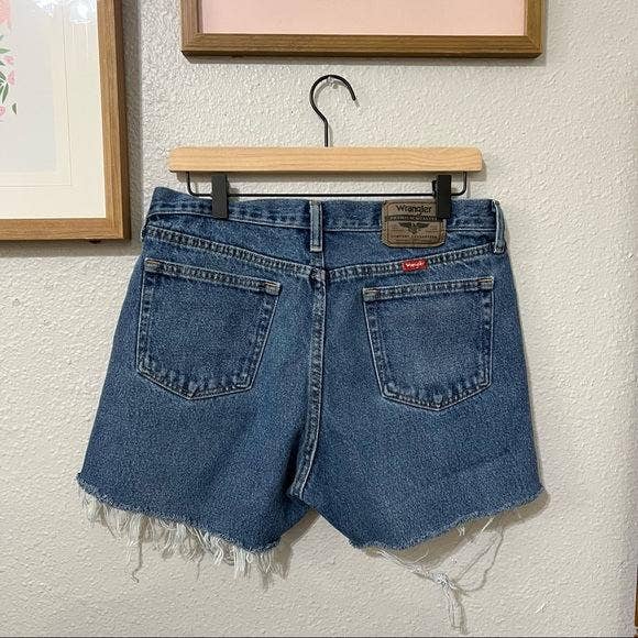 Revived Retro Shorts (Wrangler and Levi)