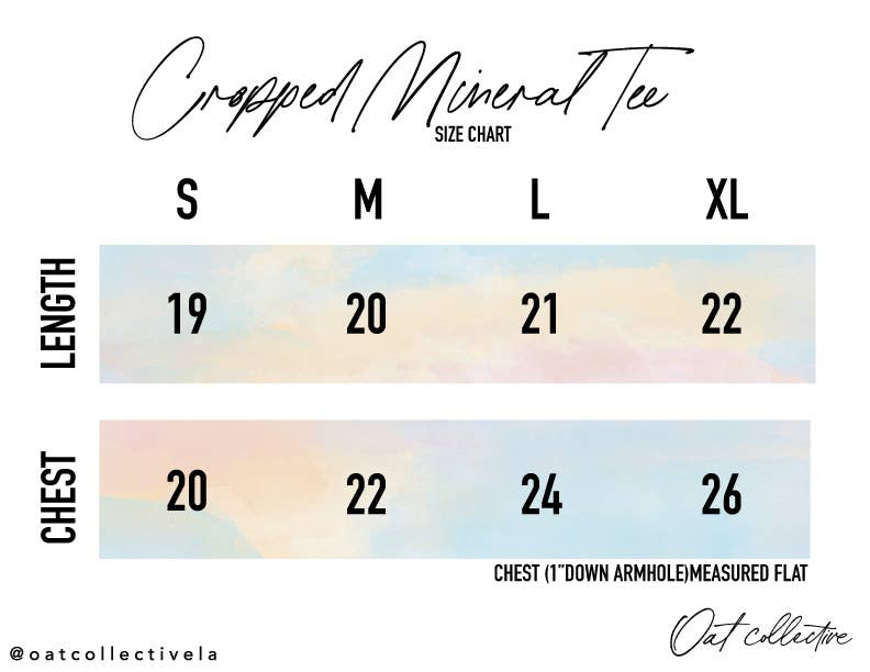 SMALL TOWN USA Cropped Mineral Graphic Top