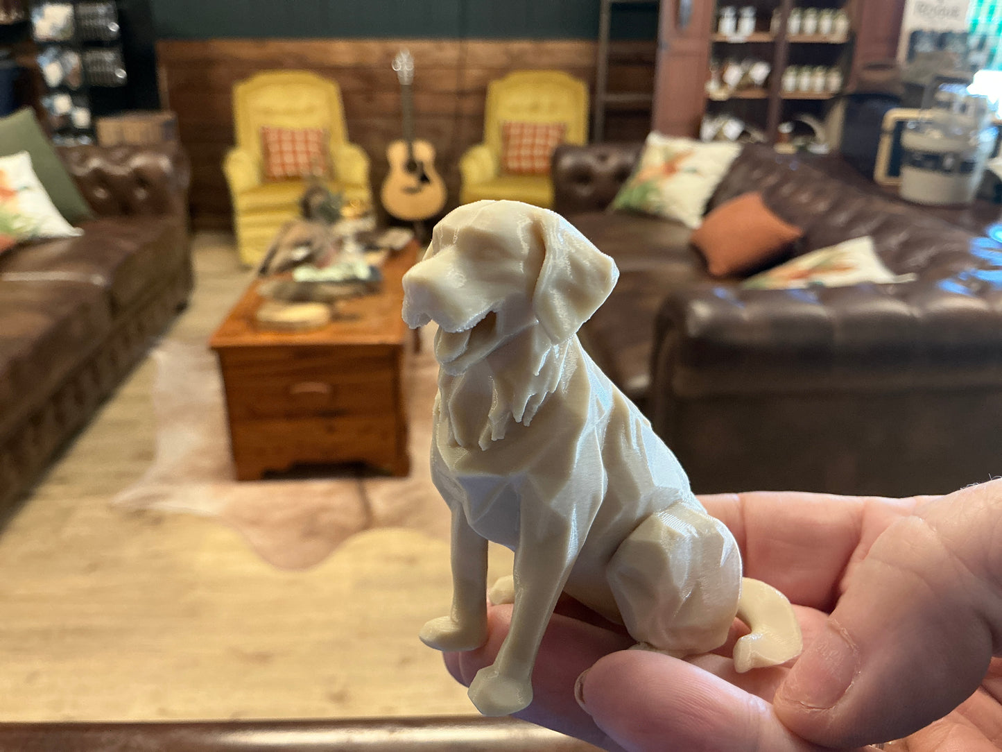 3D Animal Labrador - Retreiver