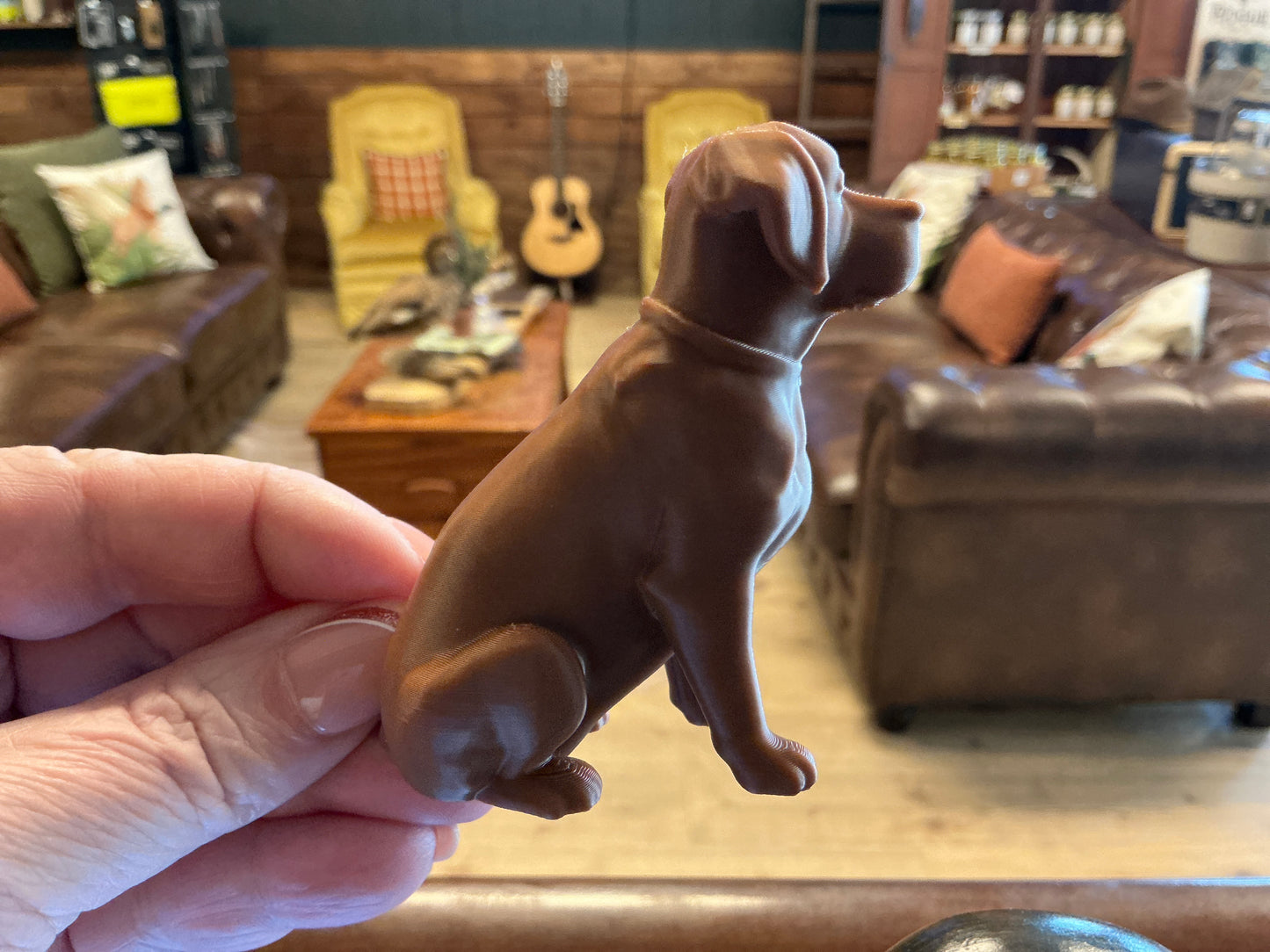 3D Animal Labrador - Retreiver