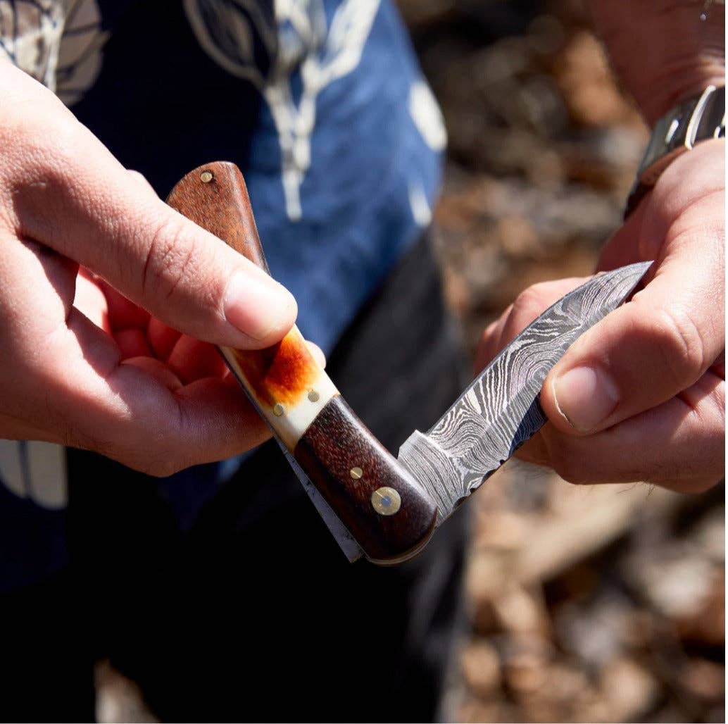 Walnut & Torched Bone Damascus Pocket Knife TK-415