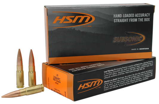 338ARC 300gr Hollow Point