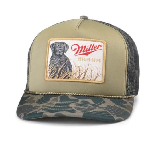 American Needle | Black Lab foamy Miller