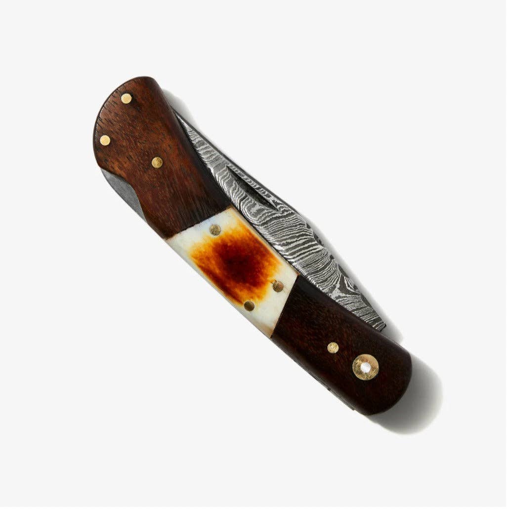 Walnut & Torched Bone Damascus Pocket Knife TK-415