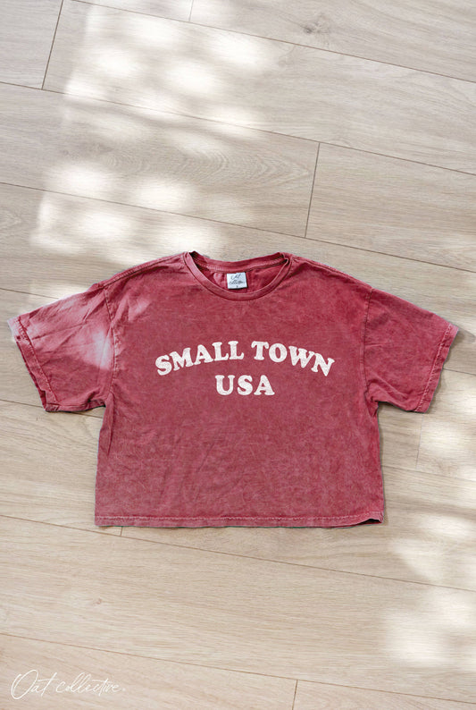 SMALL TOWN USA Cropped Mineral Graphic Top