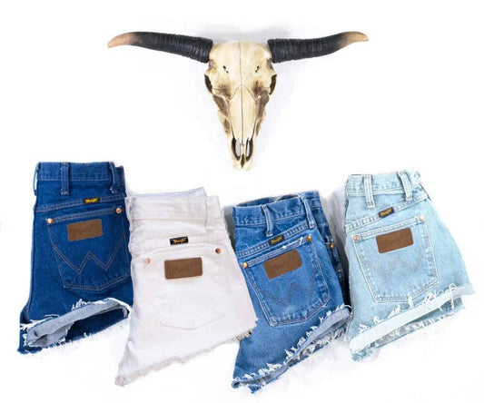 Revived Retro Shorts (Wrangler and Levi)