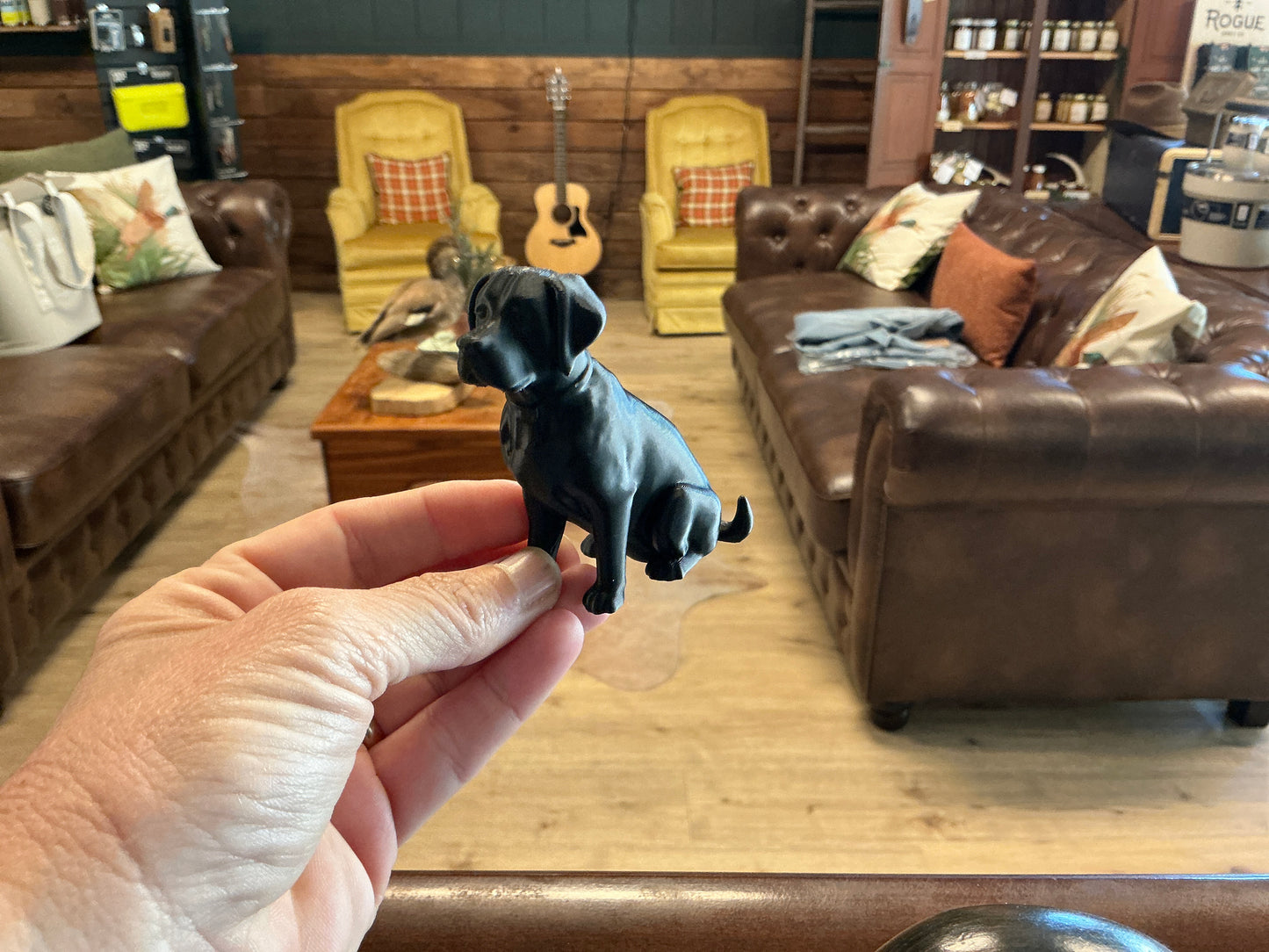 3D Animal Labrador - Retreiver
