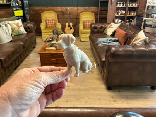3D Animal Labrador - Retreiver
